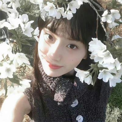 坠：波音大调查
